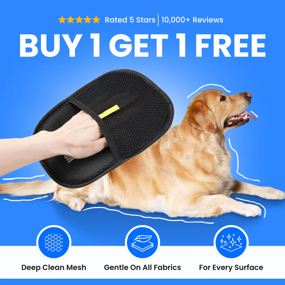 Pet Hair Removal Glove